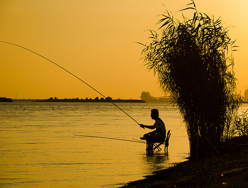 Who can say why they use two rods for fishing?