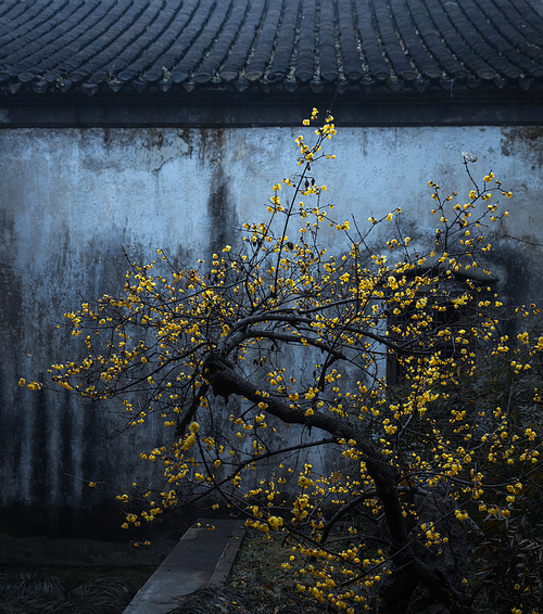 was filmed at the Monastery in Yangzhou.