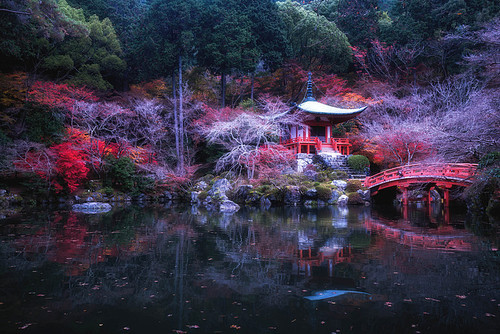 Japan,Travel,redleaf,Kyoto,Bequiet,sony,MirrorMirrorSeason5,landscape,lake,fall,outdoors,reflex,Leaf,Atnight,light,shan,pond,Thepark,C,Environment,color