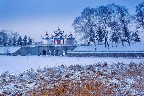 scenery,Travel,Theforest,Thecity,Frozen,landscape,ice,tree,season,Theweather,Nature,It'ssnowing,ki,Scene,Thesky,waters,beautifulsceneries,It'sfrosted,lake,eyesight