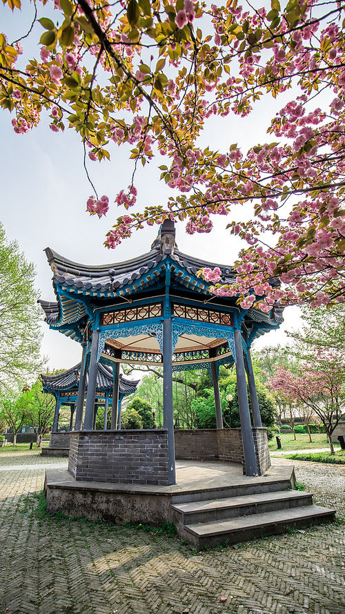 flower,stilllife,scenery,wideangle,canon,construction,color,xiaoqing,I'mgoingtobeonthescreen,Travel,Zen,temple,building,Traditional,Leaf,culture,Religion,old,summertime,Nature,