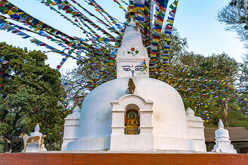 TakenattheMonkeyTempleinKathmandu,Nepal,