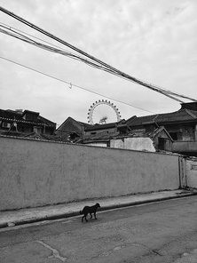 shanghai,A cell phone,black and white,The city,street racket,aeroplane,No one,military,construction,The road,The war,team up,The airport,Travel,industry,building