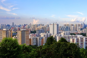 To the top of Mount Parker, there is a panoramic view of the city. There is also a small stately lion statue on the top of the mountain.