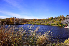 The narrow bend of the narrow bay of golden toad lake, in the light of the sun, sometimes shimmering sparkling waves, sometimes reflecting the sky of the blue, plus the golden yellow birch trees in the distance, and the banks of reeds and trees on the banks of the bank, beautiful!