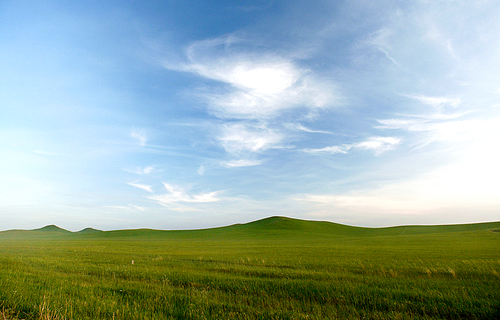 Sillin grassland is perhaps one of the only primitive grassland on the planet, and every time it comes back to the grassland, it is often taken by the way of a car journey. It is not ideal record and expression of the beauty of the grassland. This picture is only grassland, so it is just plain, only to show the true grassland scenery for the people who have not gone to the grassland.