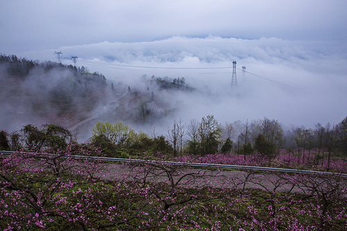 in the village of Fudao Village, Wuulong District, Chongqing.