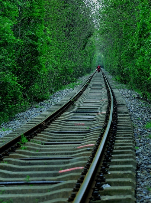 humanities,nanjing,spring,Of course,still life,Scenery,railway train,Travel,No one,ki,outdoors,Transportation Systems,Nature,perspective drawing,The road,tree,landscape,voyage,straight line,light