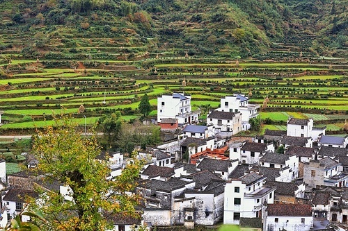 Autumn in Wuyuan is more beautiful than Spring.
