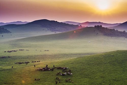 Sunset,Summer,paibari grassland,color,You're in charge of the bug cover,Photograph by the Mirror,H & Y Natural Wind | City Lights,season 2 of the lai beat competition,Kase Photography Month,outdoors,shan,Comfortable weather,At night,summertime,xiaoshan,rural area,agriculture,tree,Country,twilight