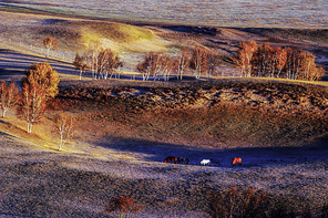 Trees,autumn colours,scenery,tanino,nikon,paibari grassland,color,You're in charge of the bug cover,Spectacular,The desert,beautiful sceneries,rock,At night,lake,light,The park,twilight,The river,fall