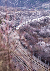 train,huahai,Challenging Theme: Spring to Retrieve,huahai train,Transportation Systems,outdoors,No one,runway,eyesight,railway,guidebook,tree,The train,The city,The sky,Winter,traffic,Tourism,Travel.