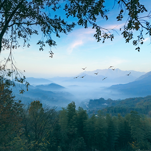 Challenging Theme: Above the Mountain, Between Clouds,shan,landscape,Nature,The sky,No one,ki,fog,outdoors,Snowy,dawn,Travel,light,Comfortable weather,Mist,Leaf,fall,beautiful sceneries,xiaoshan,Daylight,