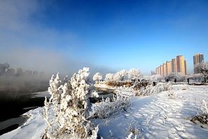 Winter in Jilin City of Fog Mei Tuan Jiang City! On January 18 the morning of the Songhua River in Jilin City on the arrival of the fog, and now publish some of the photos for everyone to appreciate?