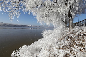Winter in Jilin City of Fog Mei Tuan Jiang City! On January 18 the morning of the Songhua River in Jilin City on the arrival of the fog, and now publish some of the photos for everyone to appreciate?