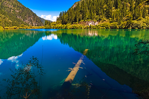 Jiuzhaigou, such as a lot of calcified tree stumps, using wide-angle to take the foreground stake, 2 / 3 of the area, the background is slightly more watery. It is not ideal, as a visit to this tourist.