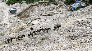 documentary,canon,color,capture,qinling,labour,gold mine,dashan,xu xiaoling cup 2018,mule,Mammals,wild,ishi,soil,waters,Daylight,Tourism,animal,It's dangerous,Adventure.