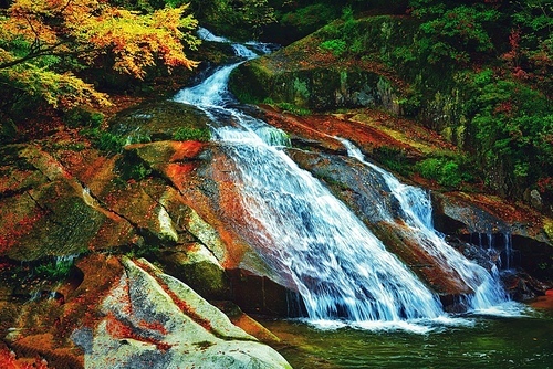 scenery,Travel,color,waterfall,flow,Leaf,landscape,Nature,Splash,moss,tree,outdoors,cascades,sports,The park,kawai,rock