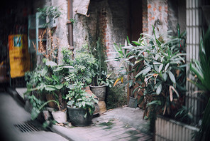 Life,documentary,The city,color,construction,The window,building,street,Leaf,Courtyard,bungalow,Housing,outdoors,The family,plant,Travel,ki,Backyard,light