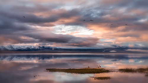 xizang,scenery,Travel.,nikon,black - necked crane,landscape,lake,reflex,Nature.,twilight,The sun.,At night.,The beach.,outdoors,The sea.,The river.,The ocean.,Comfortable weather.,cloud