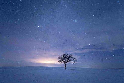 night scene,starry sky,nikon,color,Mirror Mirror,Nature.,Sunset.,No one.,twilight,dawn,waters,Winter.,light,Outer space.,The sea.,tree,outdoors,beautiful sceneries,Astronomy.,Comfortable weather.