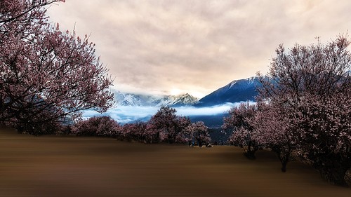 ,lin zhi,peach blossom,xizang,scenery,wide angle,canon,Emotions.,Magic.,outdoors,fog,The park.,Sunset.,beautiful sceneries,Travel.,The sun.,branch,Comfortable weather.,infrared ray,season