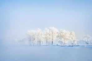 scenery,Travel.,nikon,jilin,color,wuqi dao,No one.,landscape,fog,The weather.,Frozen.,It's frosted.,Comfortable weather.,Mist.,The sky.,outdoors,bright,dawn,It's Christmas.,season