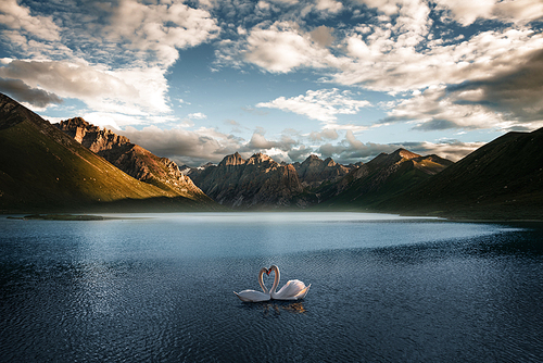 The peaks form a natural guide line on either side, but there is nothing in the guide. The swans are the material, the reflection is drawn.