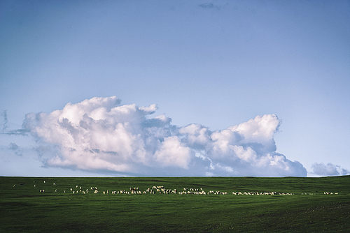 scenery,Travel.,nikon,landscape,outdoors,summertime,lawn,Country.,The sun.,Comfortable weather.,rural area,cloud,bright,pastoral,fen,herding,The weather.,agriculture,dawn