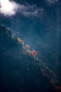 Colors of autumn.