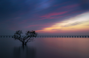 scenery,color,landscape,The sun.,waters,The sky.,silhouette,At night.,lake,Nature.,twilight,reflex,backlight,The sea.,No one.,light,The beach.,summertime,tree
