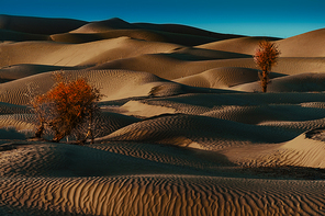 The beautiful scenery of the Takemaran Desert is a relic.