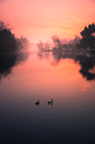 scenery,Photography,color,silhouette,reflex,waters,twilight,lake,backlight,landscape,No one.,The river.,tree,The sky.,light,The sun.,means of transportation,outdoors,Travel.