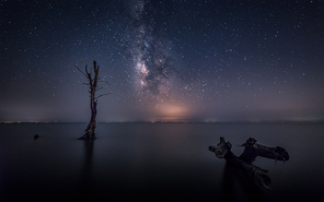 night scene,starry sky,nikon,color,Mirror Mirror,Nature.,Sunset.,No one.,twilight,dawn,waters,Winter.,light,Outer space.,The sea.,tree,outdoors,beautiful sceneries,Astronomy.,Comfortable weather.