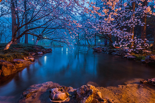 a circle of friends, some people say, when you are worried and anxious, go to that pearl lake for a walk and then you will see the light. and the real beauty in hangzhou is the taizi bay in the wee hours of morning, in your dream dream, in the photographer 's magic lens.