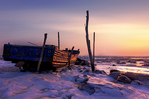 Winter seashore, sea ice seal the sea, a silent, only puppies wander around.