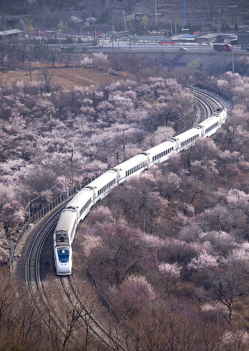 A train for spring?