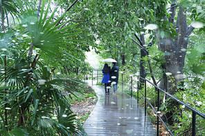 portrait,humanities,life.,documentary,hey, girl.,canon,the city.,capture,no one.,nature,the park.,rain,travel.,adventure.,pastime,grain crops,guidebook,the garden.,waters,sassy.