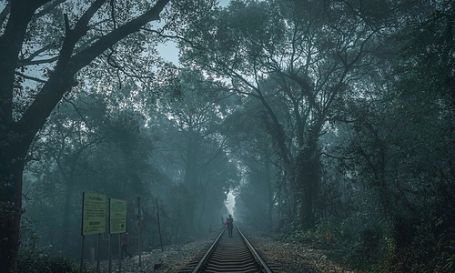 scenery,Travel.,color,landscape,ki,The road.,Creepy.,light,dawn,guidebook,Nature.,C. Environment,The train.,Daylight.,rain,outdoors,Mystery.,The weather.,branch
