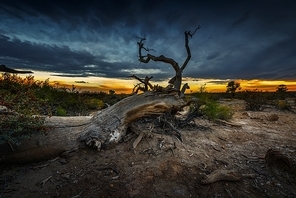 xinjiang,Of course.,scenery,wide angle,Photography,color,Emotion.,Travel.,C. Environment,Sunset.,soil,The desert.,fall,The storm.,At night.,shan,rock,The park.,twilight