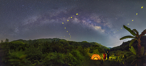 Black sky low, bright stars follow, insects fly, insects fly, you are thinking of who.