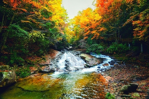 scenery,Travel.,color,waters,Nature.,tree,maple,landscape,The river.,outdoors,flow,waterfall,The park.,beautiful sceneries,Mist.,season,Rapids.,C. Environment,Sassy.