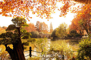 Taken on 5 December 2017, Lu Xun Park, Shanghai.