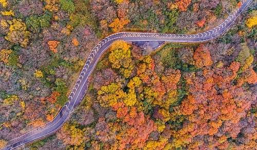 Oaksan Mountain, Osaka, Japan, beautiful autumn colours