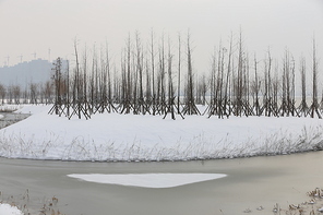 scenery,The city.,frost,Cold.,Frozen.,ice,tree,landscape,The weather.,ki,Nature.,fog,It's frosted.,No one.,season,dawn,lake,It's snowing.,waters,beautiful sceneries