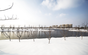 scenery,The city.,frost,Cold.,Frozen.,ice,landscape,tree,The weather.,Nature.,ki,season,To cover (candy).,It's snowing.,waters,No one.,It's frosted.,The sky.