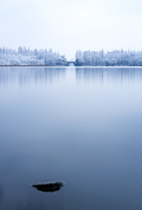 scenery,west lake,snowscape,hangzhou,sony,dawn,Sunset.,Snowy.,outdoors,tree,The river.,The sky.,Travel.,Winter.,Nature.,Daylight.,The beach.,Birds.,fog,At night.