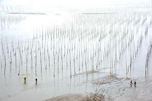 28, Qipo beach (Group 2) in 2010 at the invitation of friends to Xiapu, at that time did not know how to shoot the mudflat, now look back, found a lot of light and shade, line, composition of good film (not cut), communicate with you.