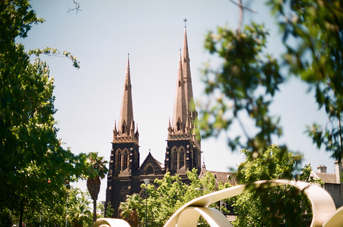 호주 멜버른의 세인트 페트릭 성당 필름사진 (NN015_035)
