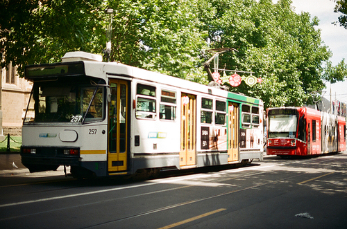 호주 멜버른의 트램 교통 필름사진 (NN015_042)